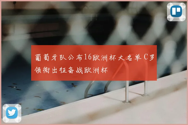 葡萄牙队公布16欧洲杯大名单 C罗领衔出征备战欧洲杯