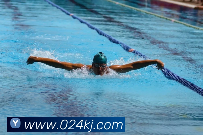 安博app平台入口服务体系